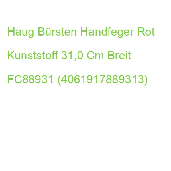 Haug Bürsten Handfeger Rot Kunststoff 31,0 Cm Breit FC88931 (4061917889313)