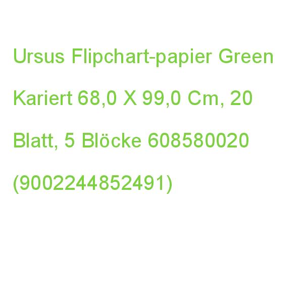 Ursus Flipchart-papier Green Kariert 68,0 X 99,0 Cm, 20 Blatt, 5 Blöcke 608580020 (9002244852491)