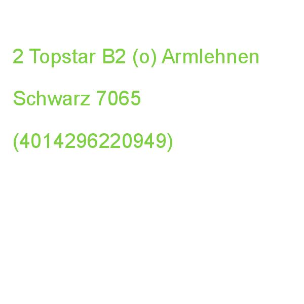2 Topstar B2 (o) Armlehnen Schwarz Für Body Balance 450, Point 40 7065 (4014296220949)