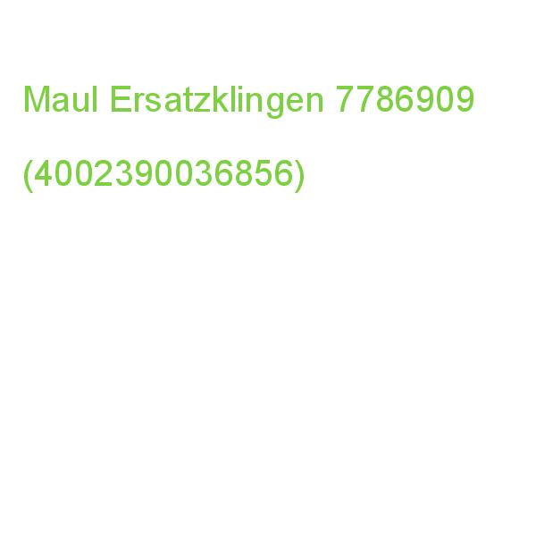 10 Maul Cuttermesser-klingen Silber 19 Mm 7786909 (4002390036856)