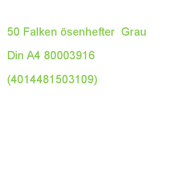 Falken ösenhefter Karton Grau Din A4, 50 St. 80003916 (4014481503109)