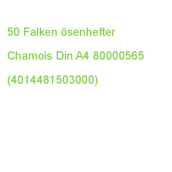 Falken ösenhefter Karton Chamois Din A4, 50 St. 80000565 (4014481503000)