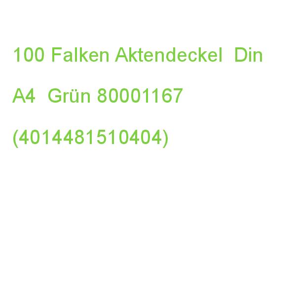 100 Falken Aktendeckel Din A4 Grün 80001167 (4014481510404)