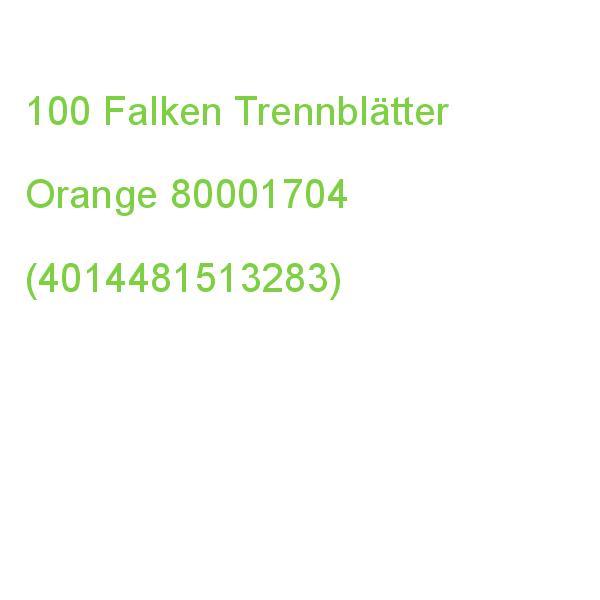 Falken Trennblätter Din A4 1-0 Orange, 230 G/qm, 100 St. 80001704 (4014481513283)