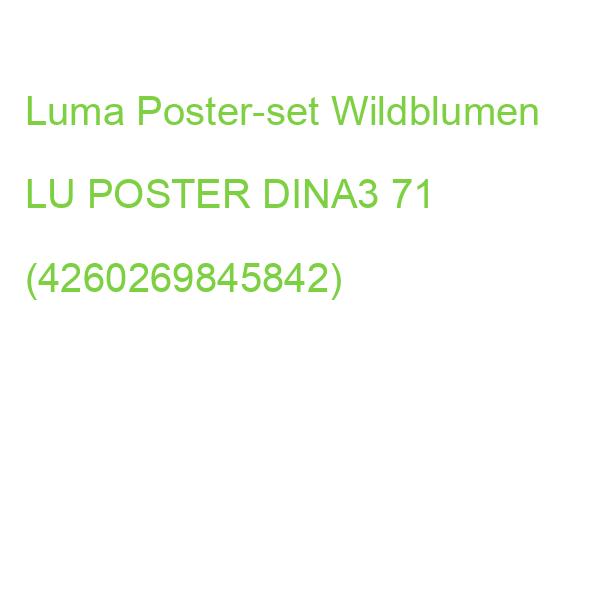 Luma Poster-set Wildblumen, Karton LU POSTER DINA3 71 (4260269845842)