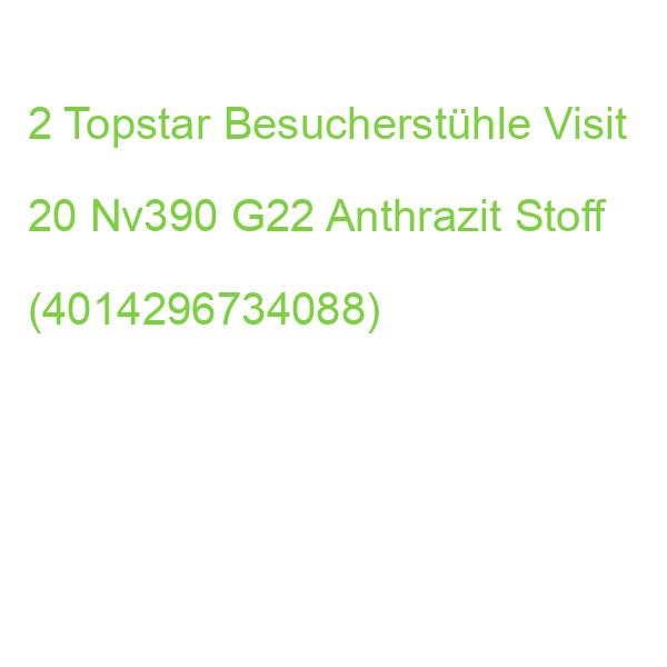 2 Topstar Besucherstühle Visit 20 Nv390 G22 Anthrazit Stoff (4014296734088)