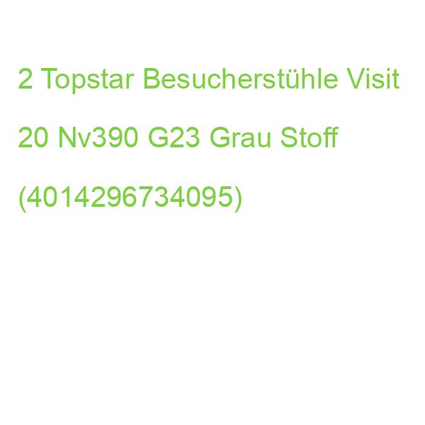 2 Topstar Besucherstühle Visit 20 Nv390 G23 Grau Stoff (4014296734095)