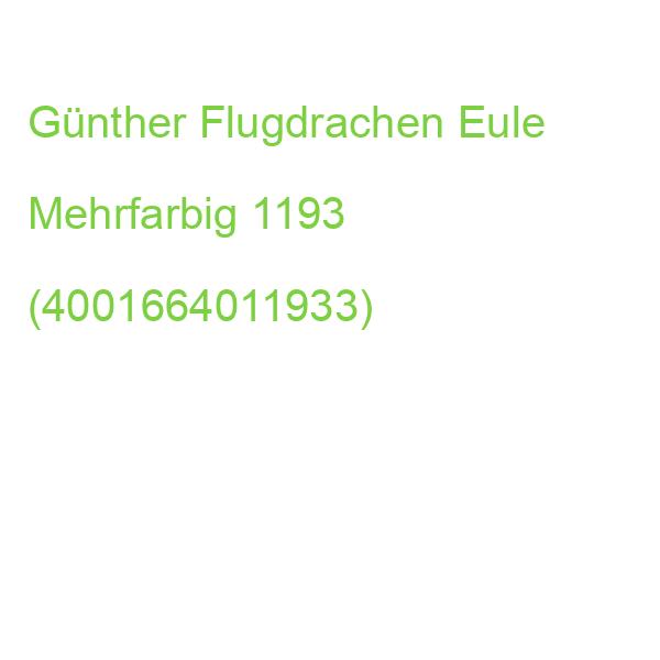 Günther Flugdrachen Eule Mehrfarbig 1193 (4001664011933)