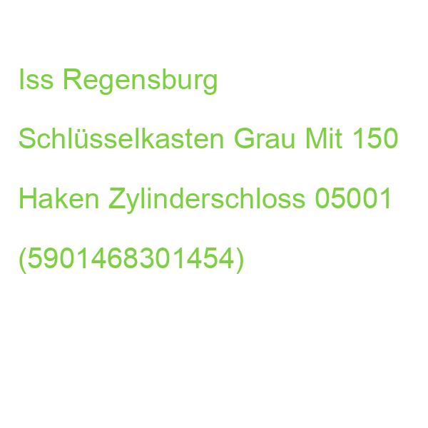 Iss Regensburg Schlüsselkasten Grau Mit 150 Haken Zylinderschloss 05001 (5901468301454)