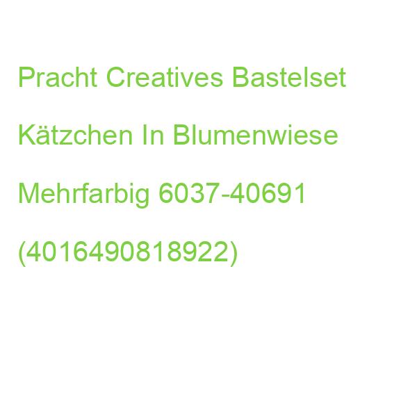 Pracht Creatives Diamond Painting Kätzchen In Blumenwiese Mehrfarbig 6037-40691 (4016490818922)