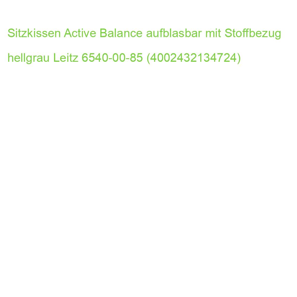 Sitzkissen Active Balance aufblasbar mit Stoffbezug hellgrau Leitz 6540-00-85 (4002432134724)