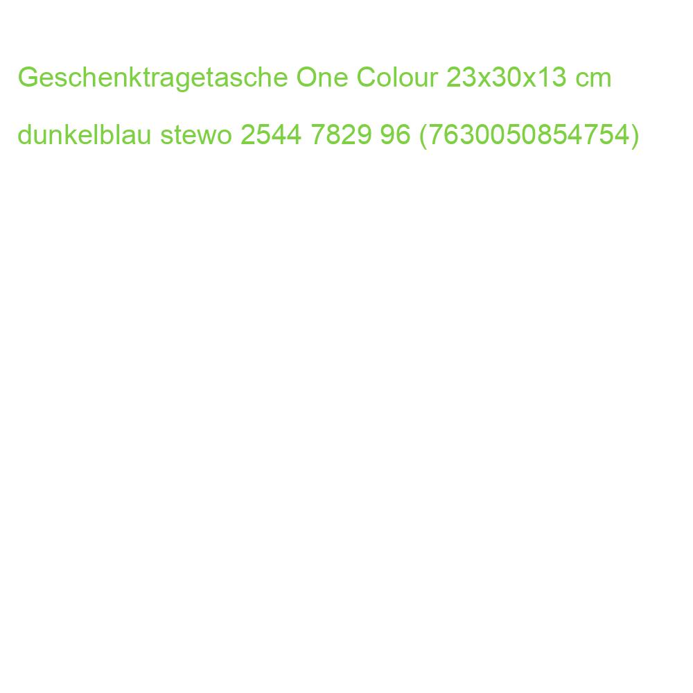 Geschenktragetasche One Colour 23x30x13 cm dunkelblau STEWO 2544 7829 96 (7630050854754)