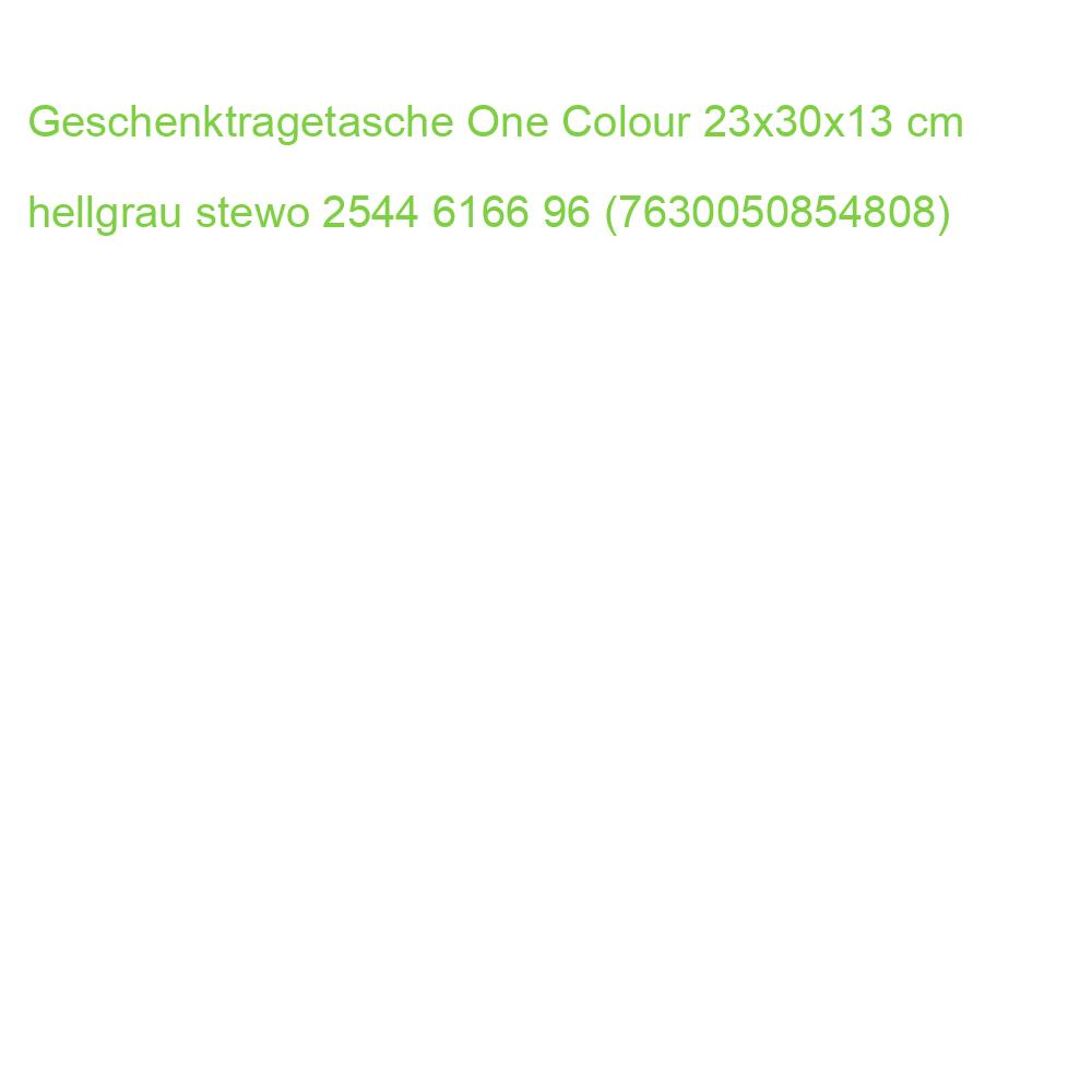 Geschenktragetasche One Colour 23x30x13 cm hellgrau STEWO 2544 6166 96 (7630050854808)
