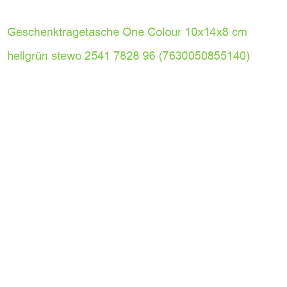 Geschenktragetasche One Colour 10x14x8 cm hellgrün STEWO 2541 7828 96 (7630050855140)