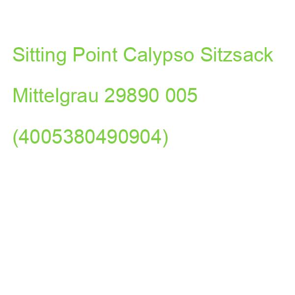 Sitting Point Calypso Sitzsack Mittelgrau 29890 005 (4005380490904)