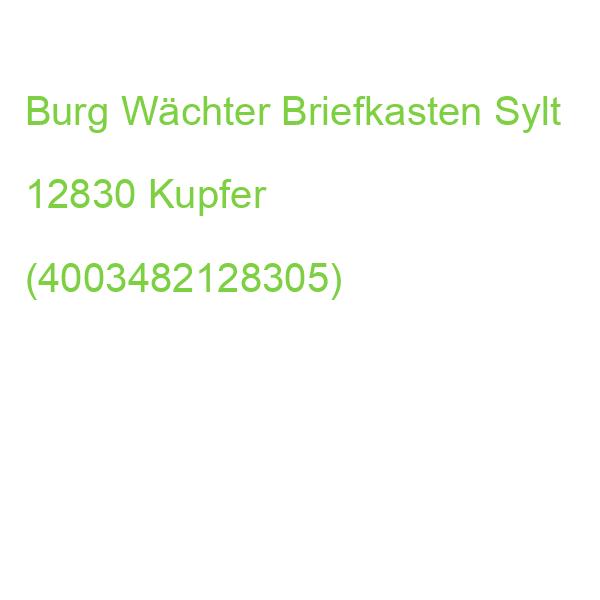 Burg Wächter Briefkasten Sylt 12830 Kupfer (4003482128305)