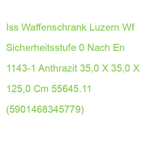 Iss Waffenschrank Luzern Wf Sicherheitsstufe 0 Nach En 1143-1 Anthrazit 35,0 X 35,0 X 125,0 Cm 55645.11 (5901468345779)