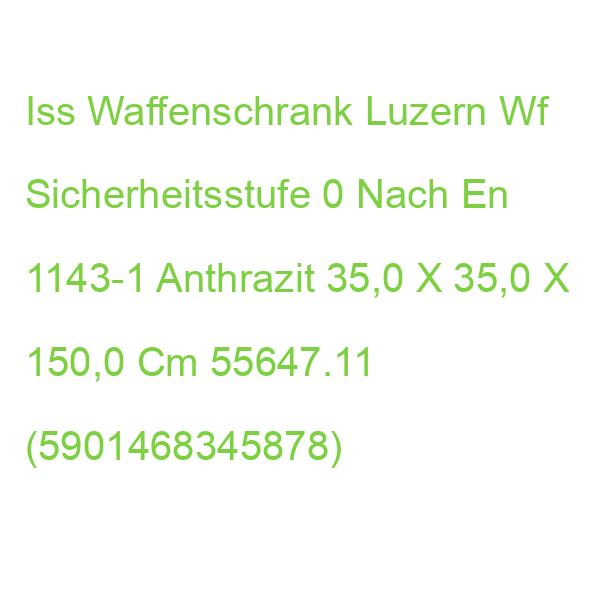 Iss Waffenschrank Luzern Wf Sicherheitsstufe 0 Nach En 1143-1 Anthrazit 35,0 X 35,0 X 150,0 Cm 55647.11 (5901468345878)