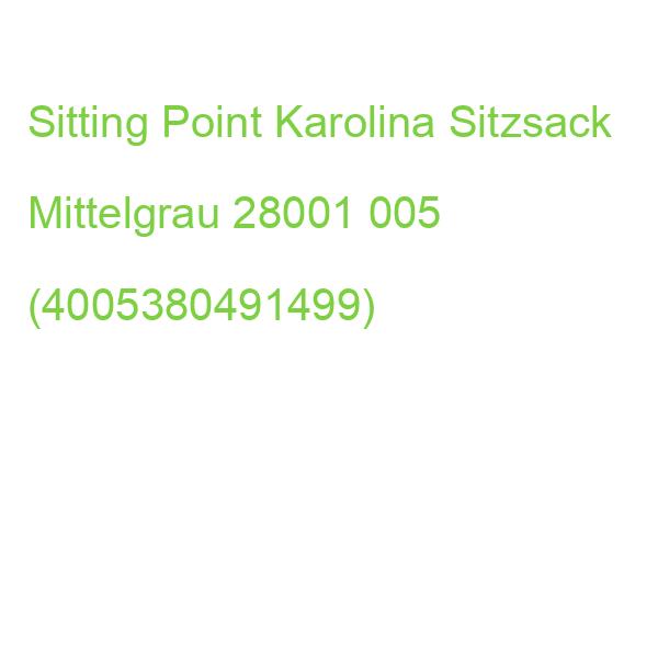 Sitting Point Karolina Sitzsack Mittelgrau 28001 005 (4005380491499)