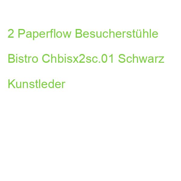 2 Meet Powered By Paperflow Besucherstühle Bistro Chbisx2sc.01 Schwarz Kunstleder