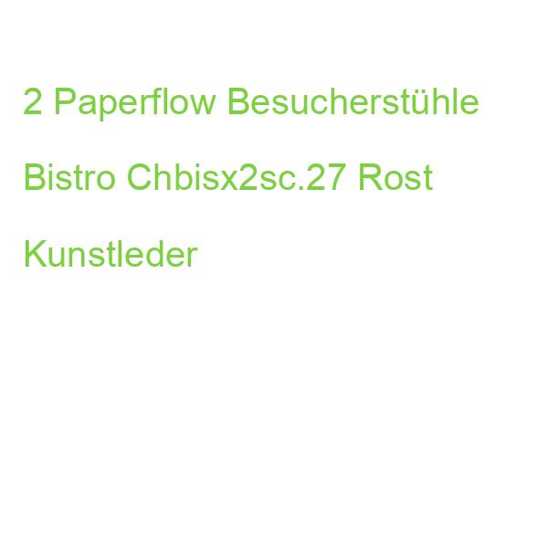 2 Meet Powered By Paperflow Besucherstühle Bistro Chbisx2sc.27 Rost Kunstleder