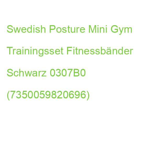 Swedish Posture Mini Gym Trainingsset Fitnessbänder Schwarz 0307B0 (7350059820696)