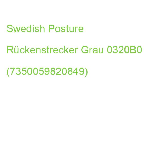 Swedish Posture Rückenstrecker Grau 0320B0 (7350059820849)