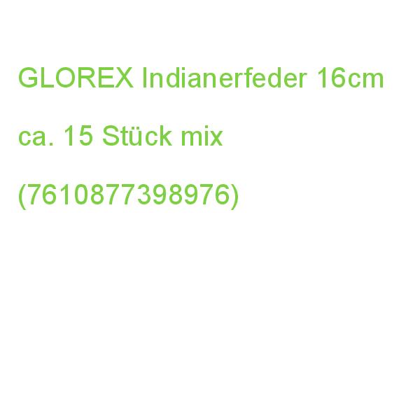 GLOREX Indianerfedern mehrfarbig 16cm 15 Stück