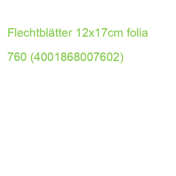 Flechtblätter ungummiert 12x17cm 10 Farben sortiert FOLIA 760 (4001868007602)