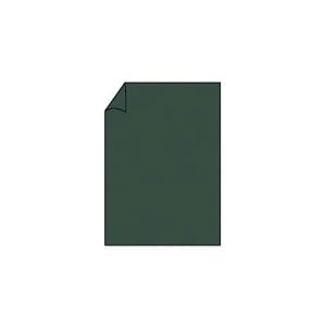 Coloretti Briefbogen A4, 165g 10 Blatt forest RÖSSLER 220726571 (4014969571842)