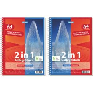 Toppoint Collegeblock 2 In 1 Liniert Und Kariert Din A4 Innen- Und Außenrand 40032A (4044186400328)