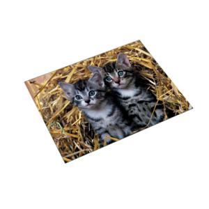 Schreibunterlage Motiv Katze Katzen im Stroh LÄUFER 46637 (4006677466374)