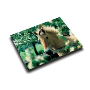 Schreibunterlage Motiv Pferd LÄUFER 46640 (4006677466404)