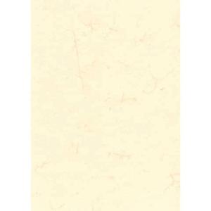 Dokumentenpapier (Elefantenhautpapier) 110g qm weiß DIN A4 RNK 2863 (4013629200016)