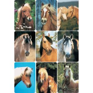 Sticker DECOR Pferdeköpfe HERMA 3568 (4008705035682)
