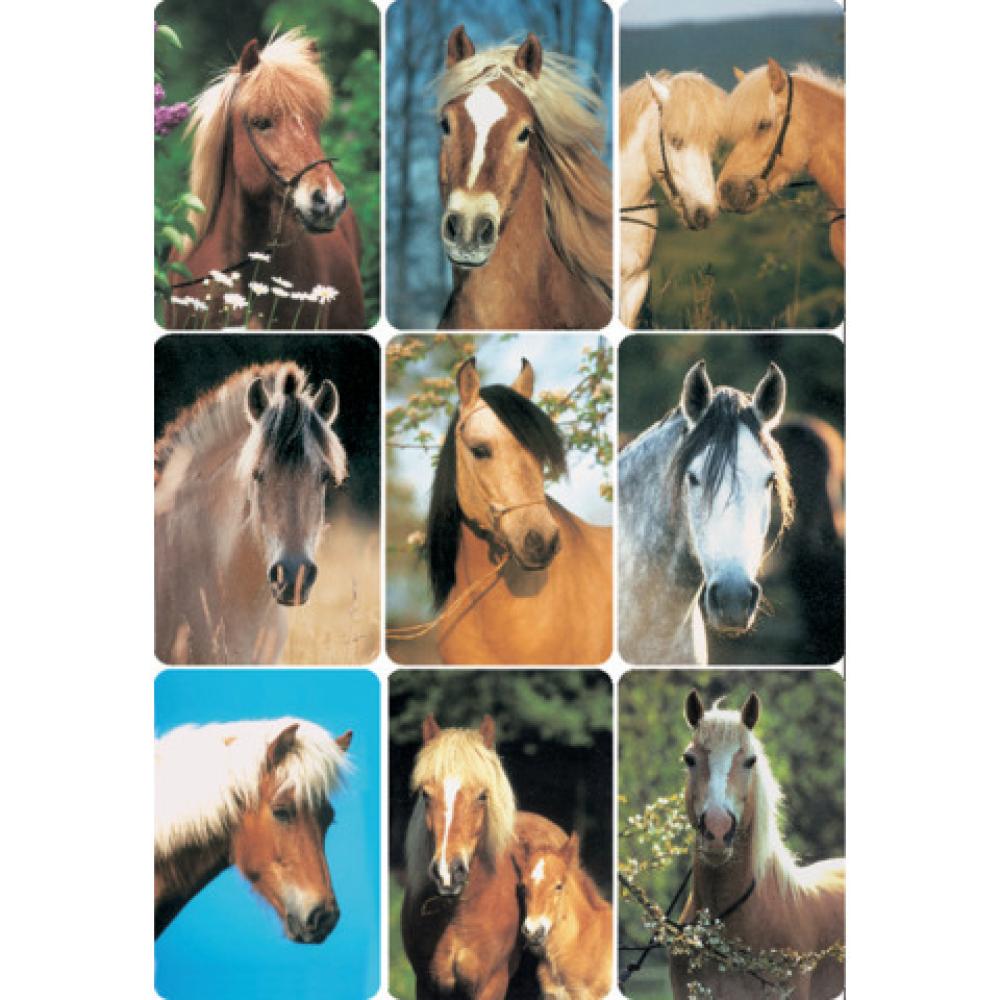 Sticker DECOR Pferdeköpfe HERMA 3568 (4008705035682)