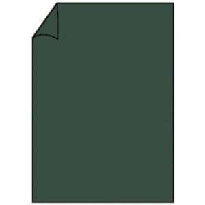 Coloretti Briefbogen A4, 80g 10 Blatt forest RÖSSLER 220701571 (4014969571392)