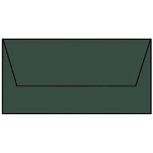 Coloretti Briefumschläge DL 5 Stück forest RÖSSLER 220702571 (4014969571453)
