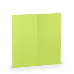 Briefkarte Paperado DL 220 g qm doppelt hoch planliegend maigrün gerippt RÖSSLER 16406922 (4014969240281)