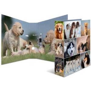 Motivordner Hund A4, 70 mm HERMA 7165 (4008705071659)