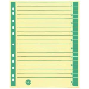 Trennblätter A4 Überbreite grün farbiger Rahmendruck 100 Stück 9541101100 (4018924941015)