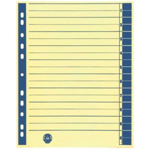 Trennblätter A4 Überbreite blau farbiger Rahmendruck 100 Stück 9541104100 (4018924941046)