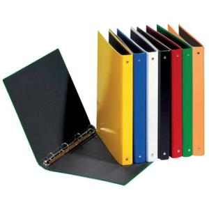 Ringbuch Basic Colours A5, 4-Ring Ring- 25mm farbig sortiert 12 Stück PAGNA 20405-00 (4009212403094)