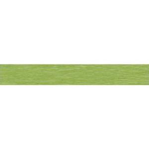 Feinkrepppapier 50x250 cm weißgrün WEROLA 12061145 (4005063001458)