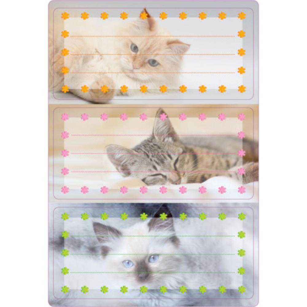 Buchetikett Katzen Spezial-Papier 76x35 cm bunt HERMA 5569 (4008705055697)