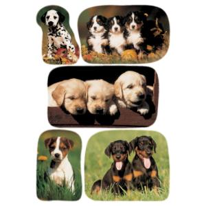 Sticker DECOR 'Hundewelpenfotos' HERMA 3528 (4008705035286)