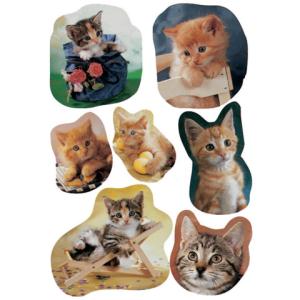 Sticker DECOR fotogene Kätzchen HERMA 5747 (4008705057479)