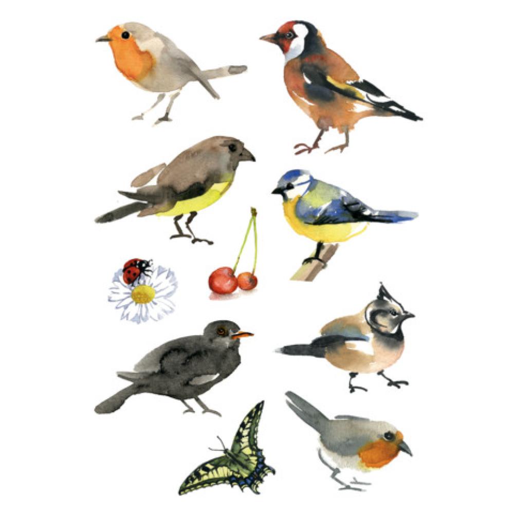Sticker DECOR Aquarell Vögel HERMA 3351 (4008705033510)