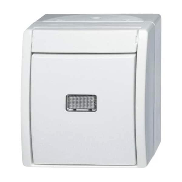 2621 W-54-206 Taster Wechsler BUSCH-JAEGER 2CKA001484A0377 (4011395079539)