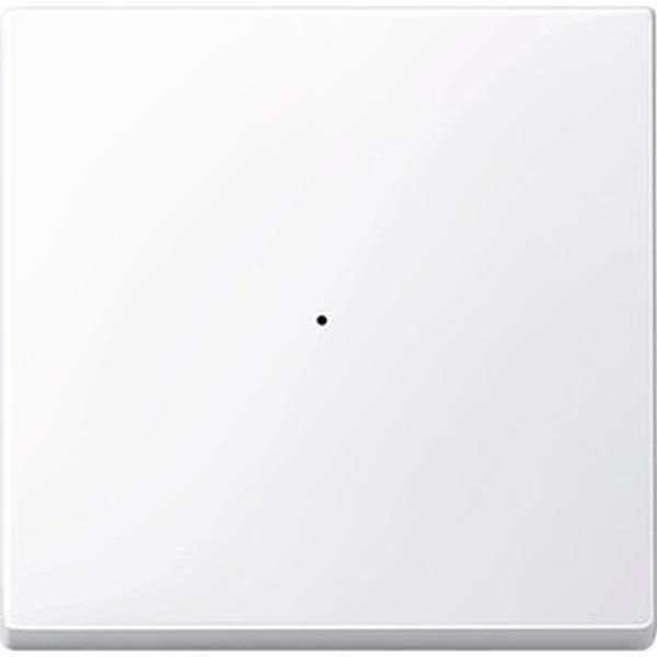 Wippe für Taster-Modul 1f. MERTEN f³r 1fach MEG5210-0325 (4042811164706)